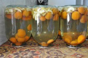 Isang hakbang-hakbang na recipe para sa paggawa ng mansanas at aprikot compote para sa taglamig