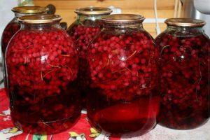 TOP 6 recepten voor rode bessen- en frambozencompote voor de winter