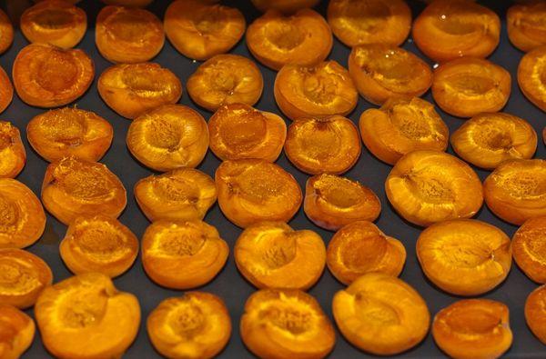 torkade aprikoser på en bakplåt
