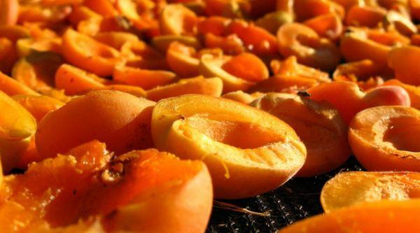 séchage abricot