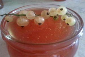 Jednoduchý recept na výrobu džemu z bieleho ríbezle na zimu Pyatiminutka