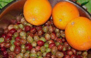 Kış için portakallı bektaşi üzümü reçeli yapmak için en iyi 15 tarif