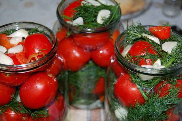 tomater med vodka
