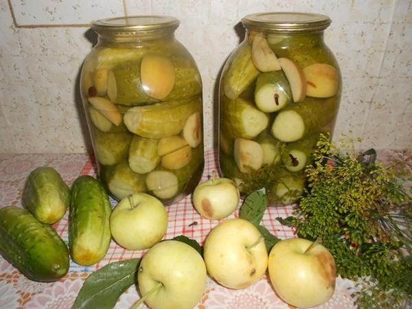 Pepinos picantes ligeramente salados con manzanas