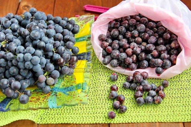 druiven voor de winter
