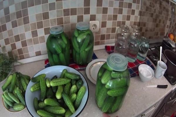 Alles voor het koud beitsen van komkommers