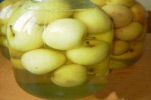 Step-by-step recipe for cooking unripe apple compote for the winter