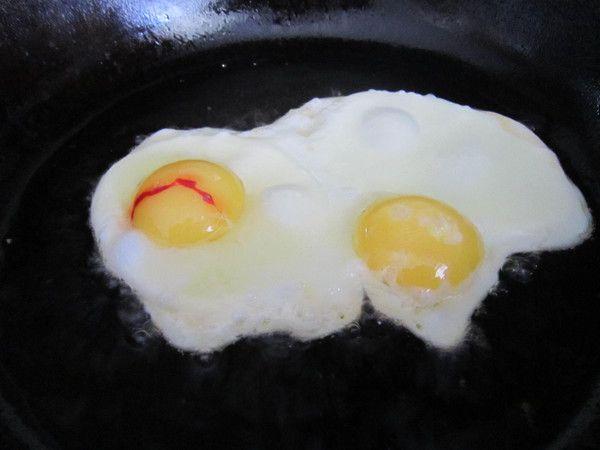 blood in the protein of a chicken egg