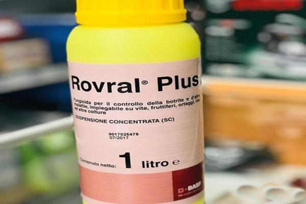 fungicide rovral