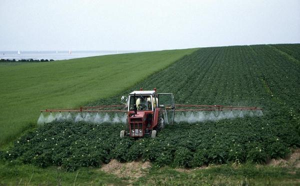 herbicide Titus on potatoes