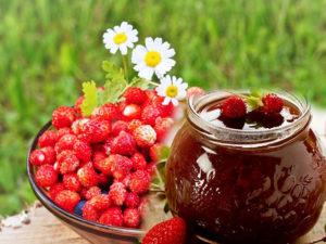 14 bedste opskrifter til tilberedning af vilde jordbær til vinteren