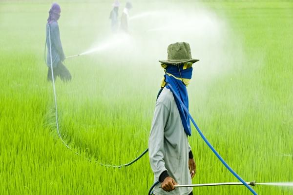 work with herbicides in the field