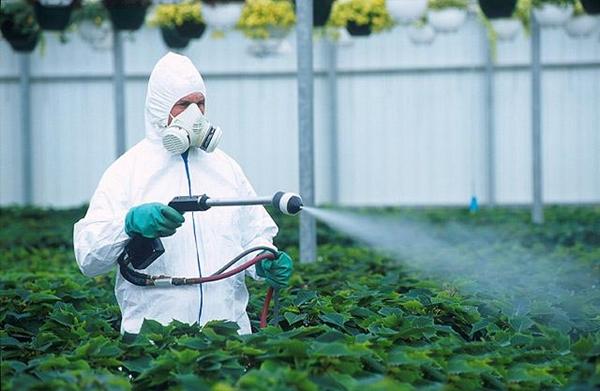 Application of herbicides