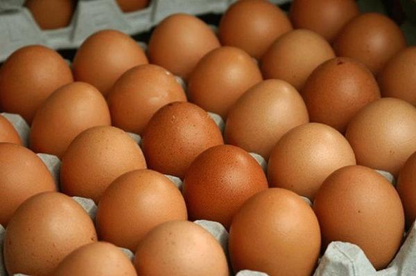 Bruine eieren