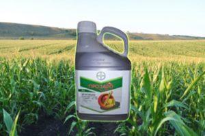 Instructies voor het gebruik van het fungicide Prozaro en consumptiesnelheid