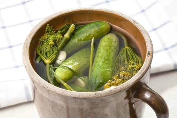 Spicy lightly salted cucumbers in a saucepan with hot brine