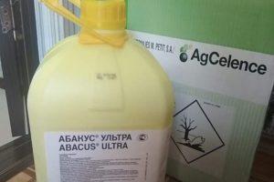 Mga tagubilin para sa paggamit ng fungicide Abacus Ultra at mekanismo ng pagkilos