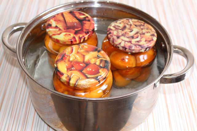 abrikoser uden madlavning