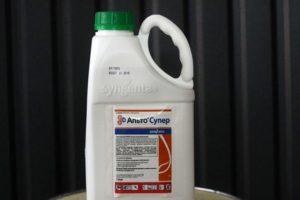 Instructions for the use of fungicide Alto Super and how to prepare a working solution