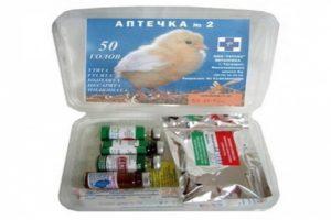 Inhoud van de EHBO-doos voor kippen en instructies voor het gebruik van preparaten
