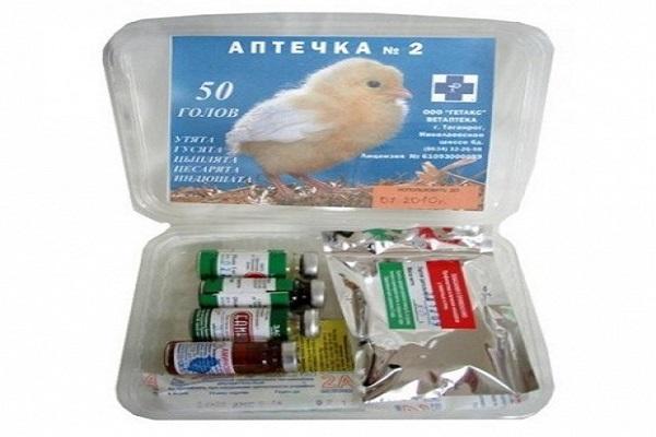kit di pronto soccorso per pulcini