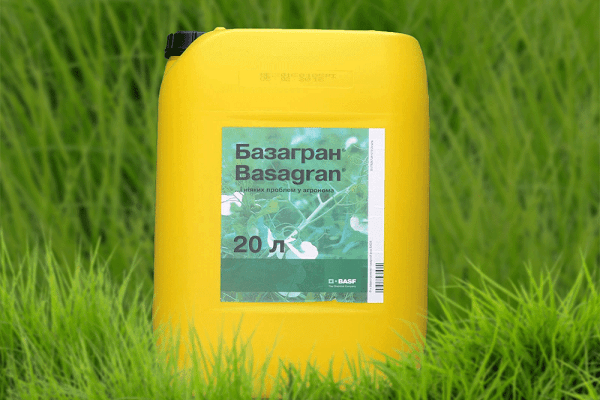 herbicīds Bazagran