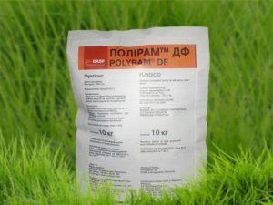 Mga tagubilin para sa paggamit ng fungicide Poliram at mga rate ng pagkonsumo