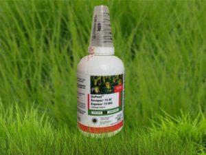 Instruccions d’ús d’herbicida Express, composició i forma d’alliberament