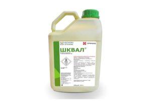 Instructions for the use of herbicide Shkval and consumption rates