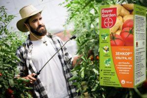 Instruktioner för herbicidet Zenkor och reglerna för användning av produkten