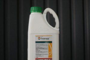 Návod k použití herbicidu Gezagard, složení a forma uvolňování