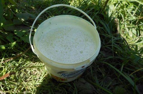Pokyny na použitie herbicídu glyfos proti burinám