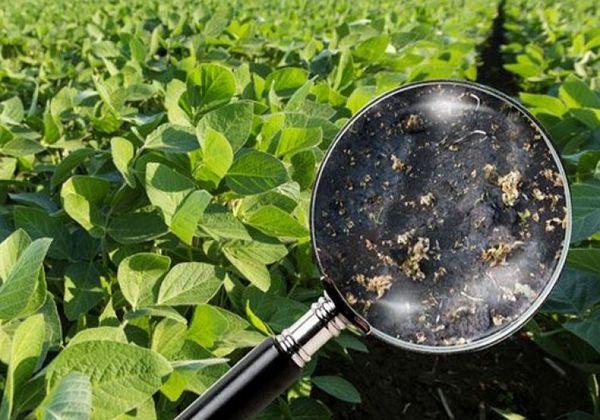 A Harmony herbicid felhasználási útmutatója, fogyasztási arányai és analógjai