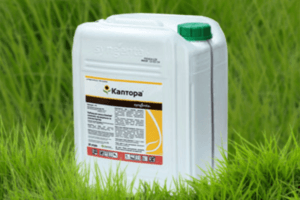 Instrucciones de uso del herbicida Kaptora y tasa de consumo.