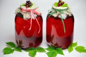 TOP 3 recipes for making red currant and mint compote for the winter