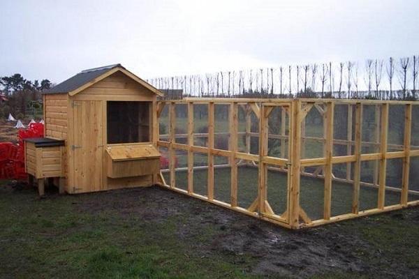 poultry house wooden