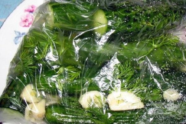 verdures en una bossa