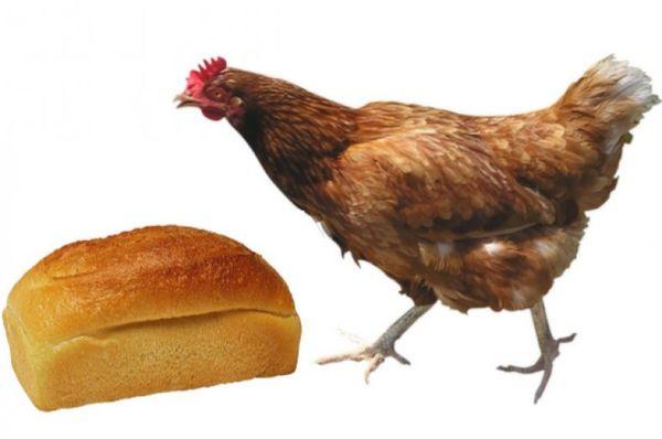 κοτόπουλο και ψωμί