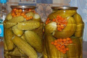 4 best recipes for canned rowan cucumbers for the winter
