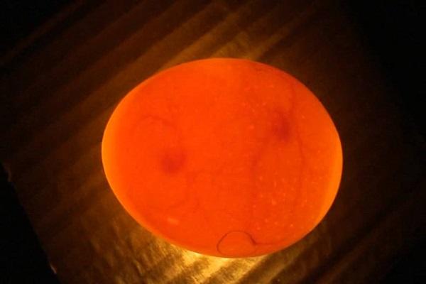 cerchio arancione