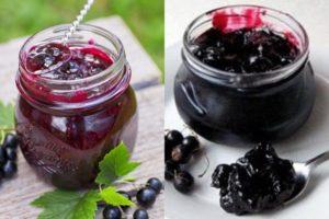 8 recept för att göra svarta vinbär, mosade med socker för vintern