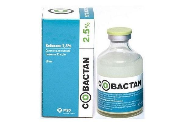 bottle Cobactan