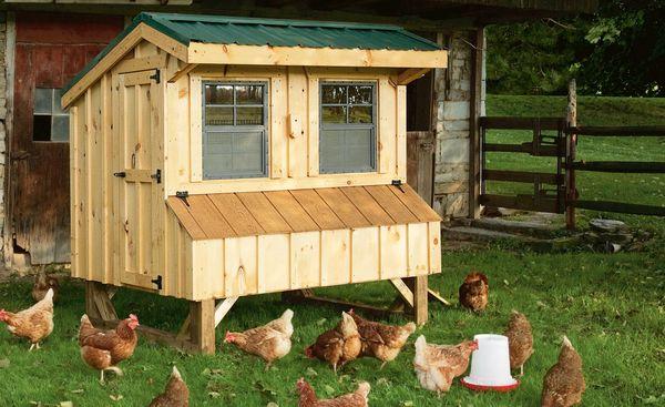 homemade chicken coop