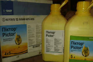 Instructions for the use of the fungicide Pictor and consumption rates