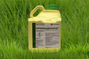 Mga tagubilin para sa paggamit ng herbicide Primadonna