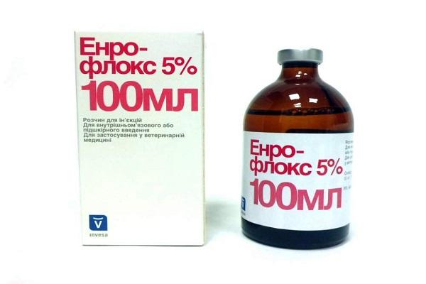 bottle of Enroflox