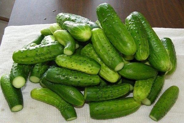 yeşil salatalık