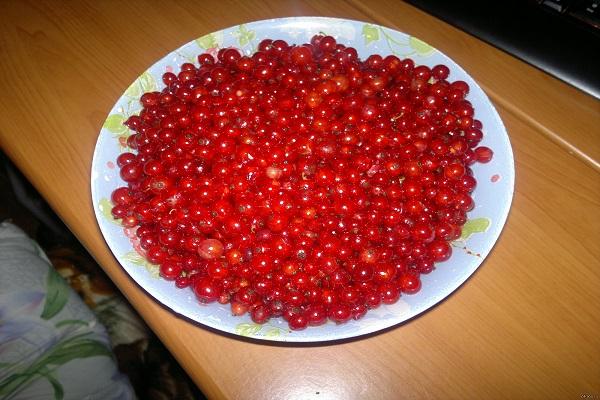 a plate of currants