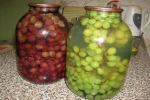 TOP 2 recipes for canned grapes in syrup for the winter