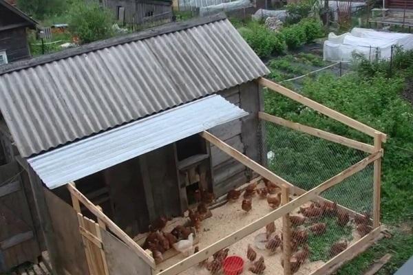 yard poultry house